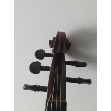 Pomposa 5 String