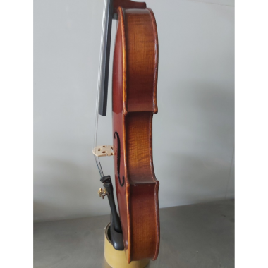 Professional Violin