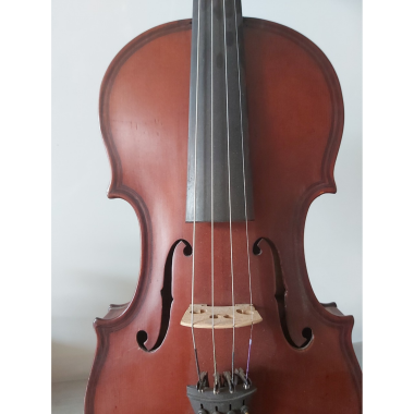 Second Hand Violin