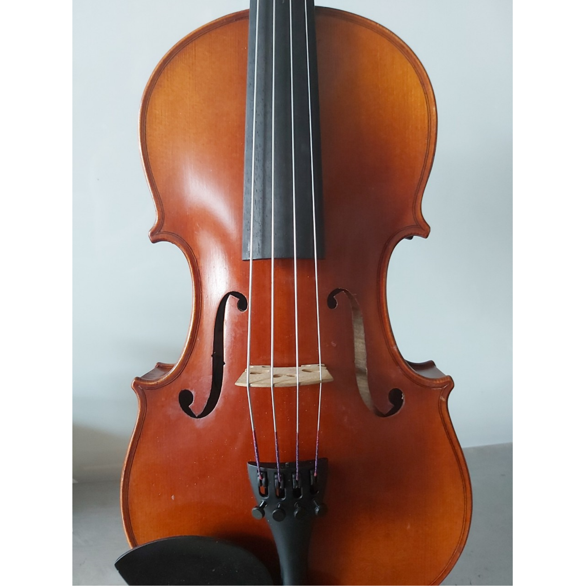 Intermediate Viola